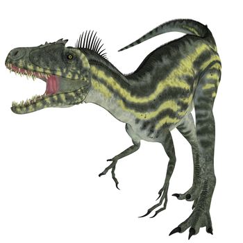 Deltadromeus was a theropod carnivorous dinosaur that lived in Northern Africa during the Cretaceous Period.