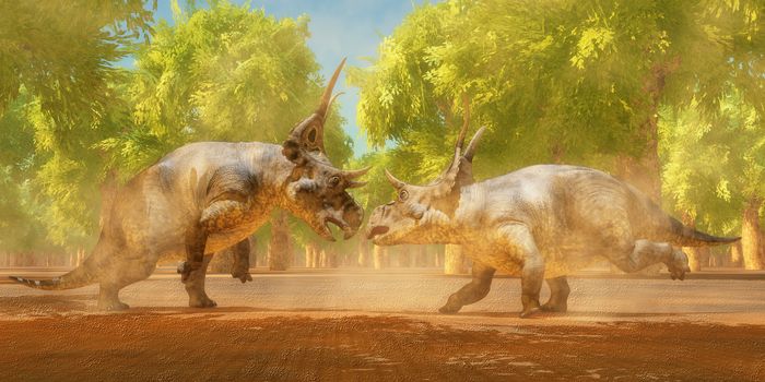 Two Diabloceratops dinosaurs fight for mating rights during the Cretaceous Period of Utah, North America.