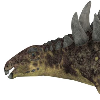 Hungarosaurus was an ankylosaur herbivorous dinosaur that lived in Hungary during the Cretaceous Period.