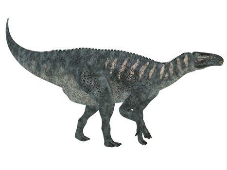 Iguanodon was a herbivorous dinosaur that lived in Europe during the Cretaceous Period.