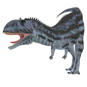 Majungasaurus was a carnivorous theropod dinosaur that lived in Madagascar in the Cretaceous Period.