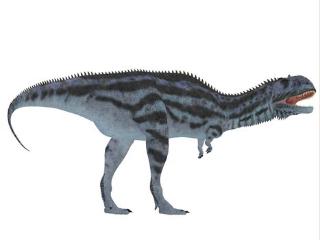 Majungasaurus was a carnivorous theropod dinosaur that lived in Madagascar in the Cretaceous Period.