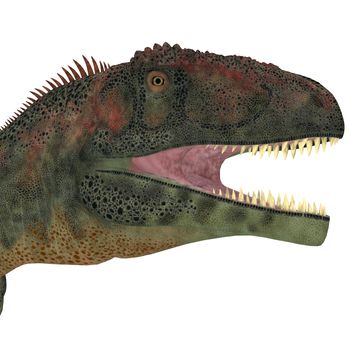 Mapusaurus was a giant carnivorous theropod dinosaur that lived during the Cretaceous Period of Argentina.