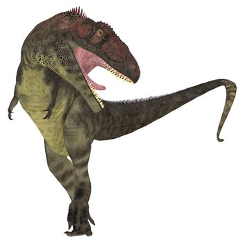 Mapusaurus was a giant carnivorous theropod dinosaur that lived during the Cretaceous Period of Argentina.