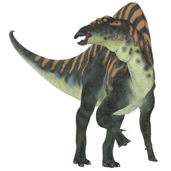 Ouranosaurus was a herbivorous hadrosaur dinosaur that lived during the Cretaceous Period of Africa.