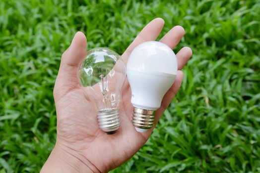 LED bulb and Incandescent bulb - Choice of energy