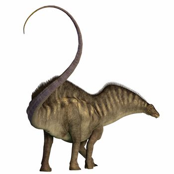 Amargasaurus was a herbivorous sauropod dinosaur that lived in Argentina during the Cretaceous Era.