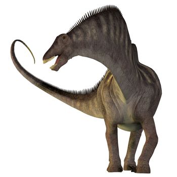 Amargasaurus was a herbivorous sauropod dinosaur that lived in Argentina during the Cretaceous Era.