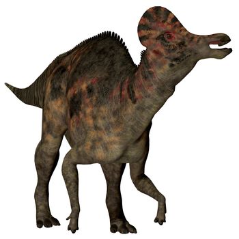 Corythosaurus is a herbivorous duck-billed dinosaur that lived in North America during the Cretaceous Period.