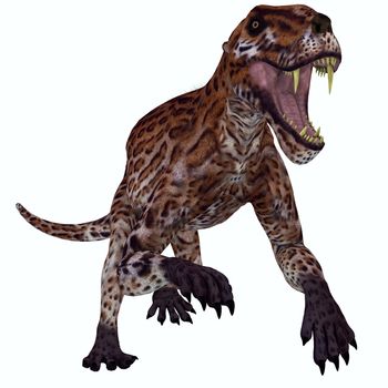 Lycaenops was a carnivorous mammal-like reptile that lived in South Africa during the Permian Period.