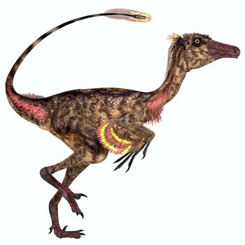 Troodon was a carnivorous small dinosaur that lived in North America during the Cretaceous Period.