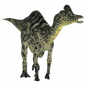 Velafrons was a large herbivorous hadrosaur dinosaur that lived in Mexico during the Cretaceous Period.