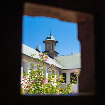 Cozia, Romania - Septemper 2, 2012: Hibiscus flowers inside Cozia monastery courtyard, Romania