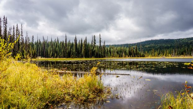 Little McGillivray Lake in the Shuswap Highlands in central British Columbia with surrounding trees reflecting on the water