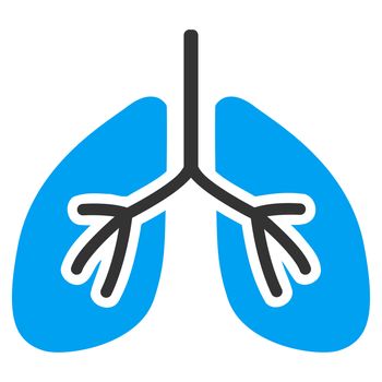 Lungs raster icon. Style is bicolor flat symbol, blue and gray colors, rounded angles, white background.
