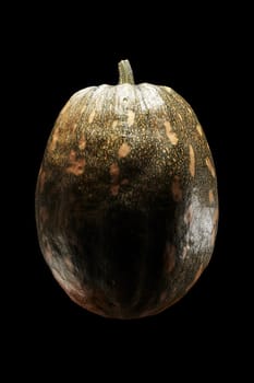 isolated flesh bitter melon on pure black background