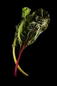 isolated flesh green vegetable leaf on pure black background