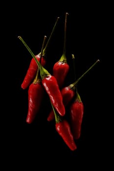 isolated flesh Red Hot Chilli on pure black background