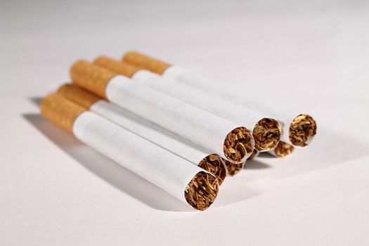 group of cigarettes on white background