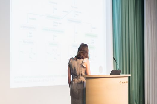 Business woman making business presentation. Female speaker giving a talk at  business conference . Business and Entrepreneurship concept. 