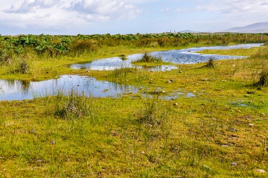 Chiloe National Park, Chiloe Island, Patagonia, Chile