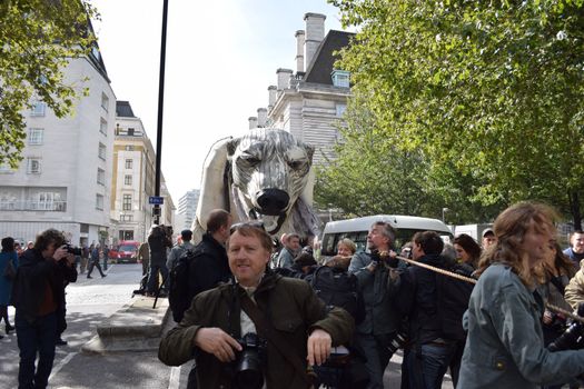 UNITED KINGDOM, London: Emma Thompson pulls Aurora	Actress Emma Thompson joined John Sauven, director of Greenpeace, and a number of activists and other members of the public outside Shell's Headquarters in London on September 29, 2015 to celebrate the announcement that Shell had abandoned its plans to drill for oil in the Arctic.  	According to our contributor about 50 to 100 people listened as Sauven and Thompson spoke of the victory and their continuing fight, which would see their puppet polar bear Aurora being relocated to Paris. 