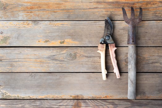 Old wooden texture background with garden tools, close up view