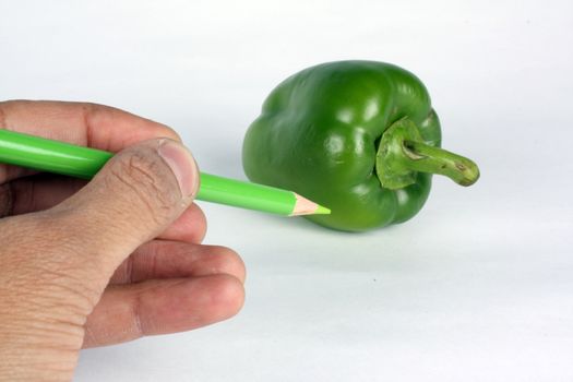 Green color concept for preschool and nursery showing a hand with green colored pencil coloring a capsicum.