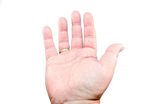 Opened masculine palm of your hand against a white background.