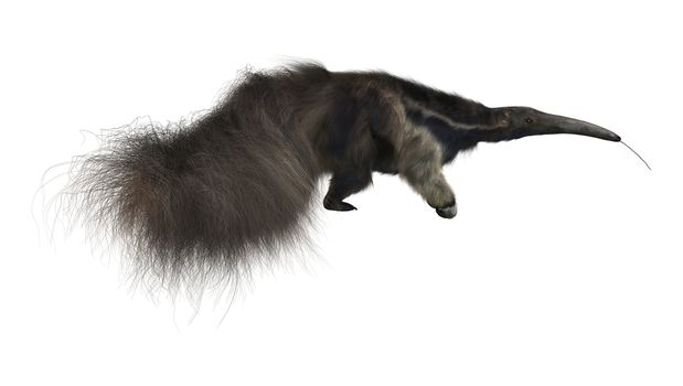 3D digital render of a giant anteater isolated on white background