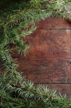 Nice Christmas background made from lot of spruce twigs on wood
