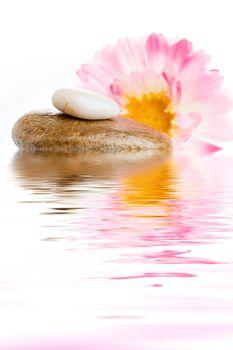 Composition of stones with pink flower on the water creating reflections