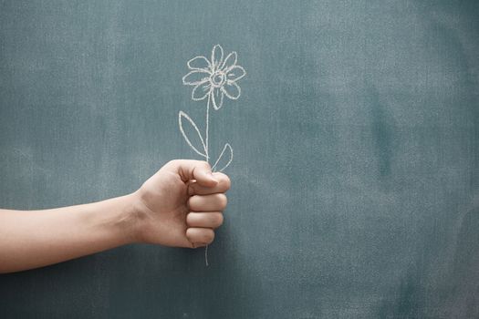 Human hand holding single flower drawn on a blackboard