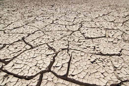 Detail of the cracked ground - dry season
