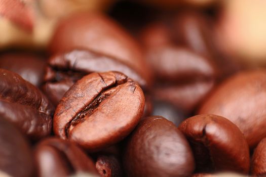 Closeup of coffee seed and focus on fracture of it