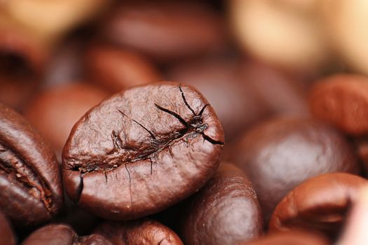 Closeup of coffee seed and focus on fracture of it