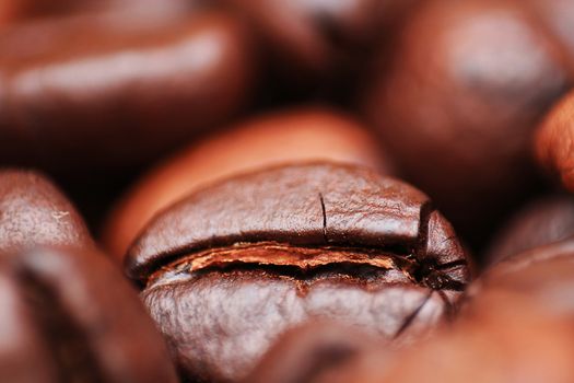 Closeup of coffee seed and focus on fracture of it