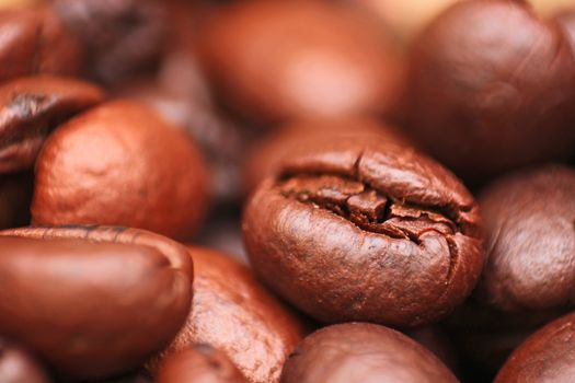 Closeup of coffee seed and focus on fracture of it