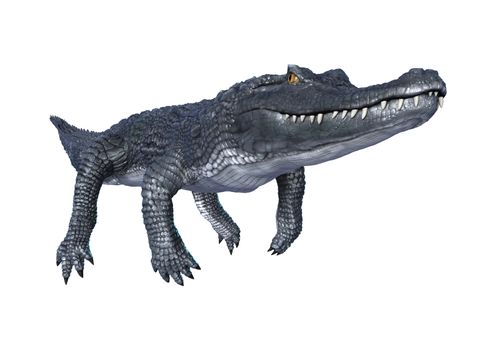 3D digital render of a caiman isolated on white background