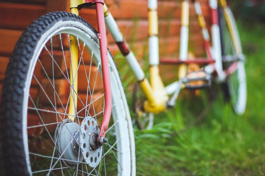 Bicycles for two passengers, the tandem on the green grass