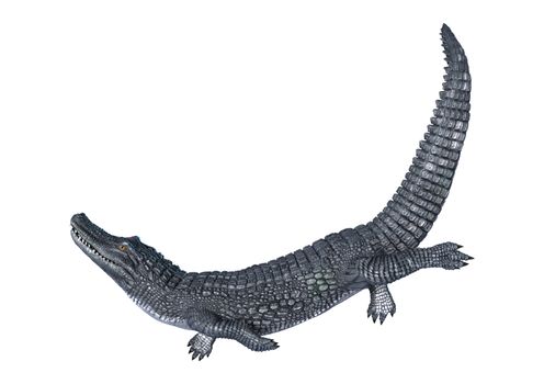 3D digital render of an alligator caiman isolated on white background