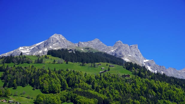 View of mountains and forest  Engelberg, Switzerland