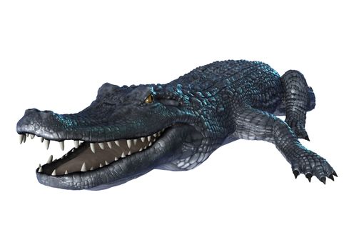 3D digital render of an alligator caiman isolated on white background
