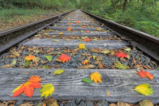 Railroad Train Track with Colorful Fall Leaves in Autumn