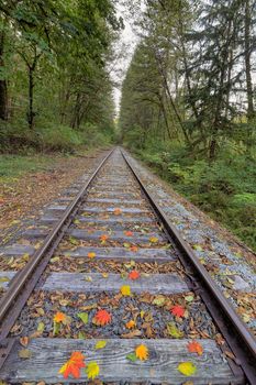 Railroad Train Track with Colorful Fall Leaves in Autumn Vertical