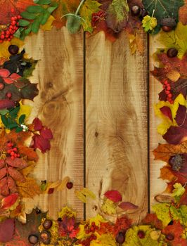 Vertical Frame of Autumn Leafs, Yield and Berries on Wooden Plank background