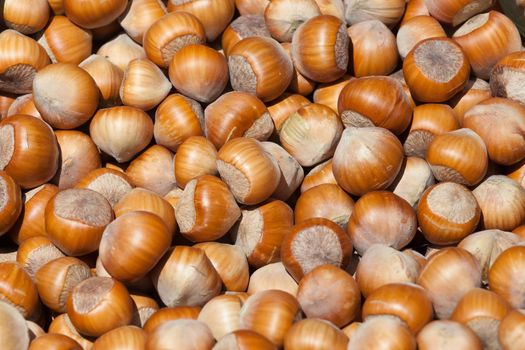 the background consisting of a set of small beautiful nuts