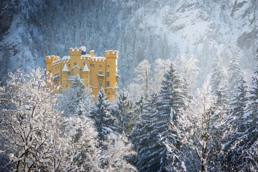 Hohenschwangau Castle in wintery landscape, Germany