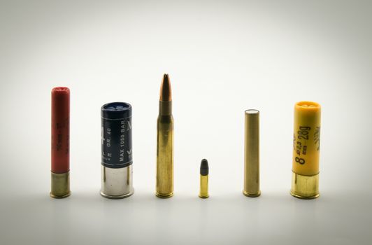 ammunition of various calibers and color