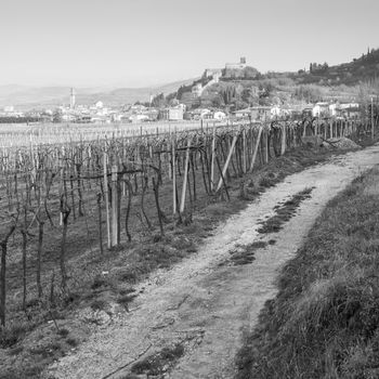 view of Soave (Italy) surrounded by vineyards that produce one of the most appreciated Italian white wines, and its famous medieval castle.